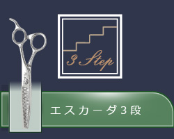 エスカーダ3段